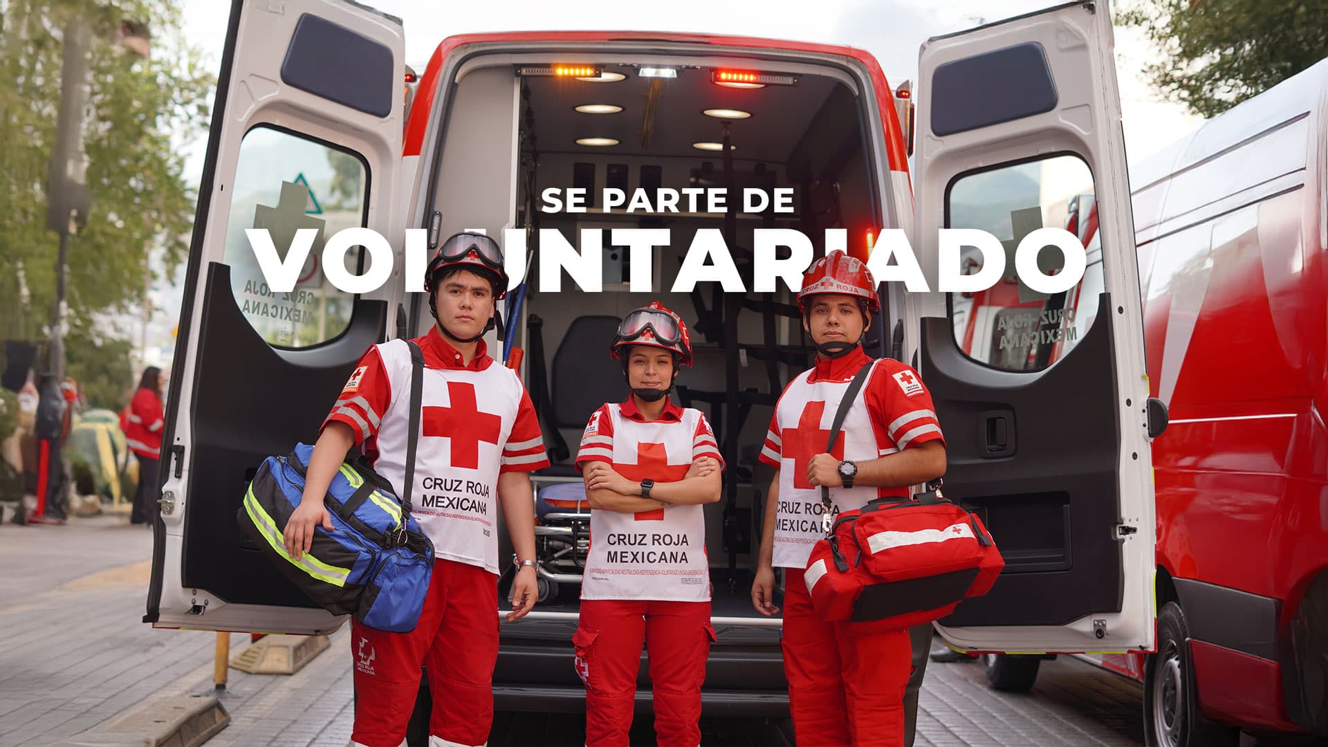 Descripción de la imagen