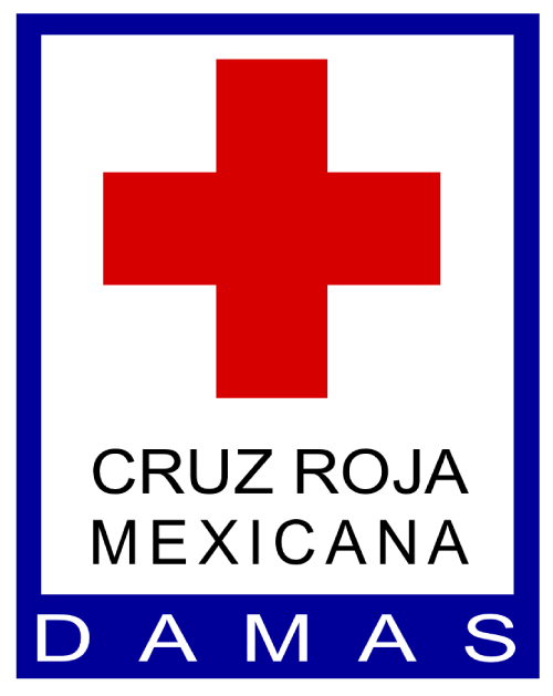 Damas Voluntarias en la escalera